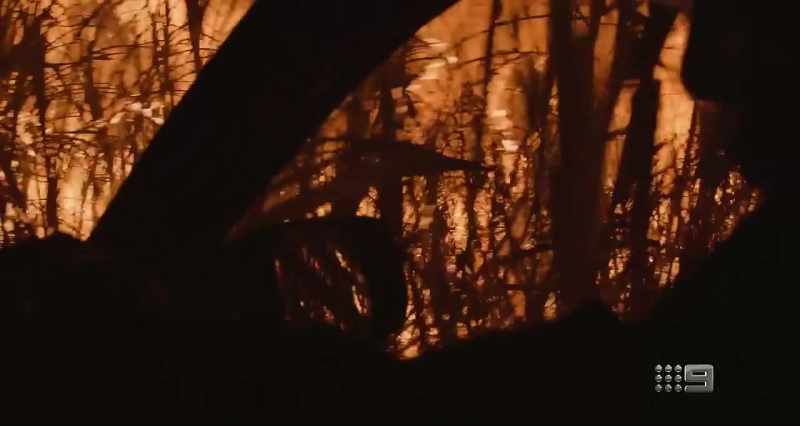 I remember driving into the property