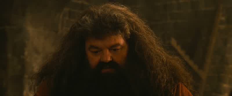 I remember every wand I've ever sold, Mr