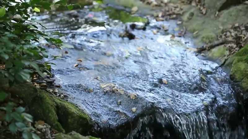 I remember I stopped at a stream