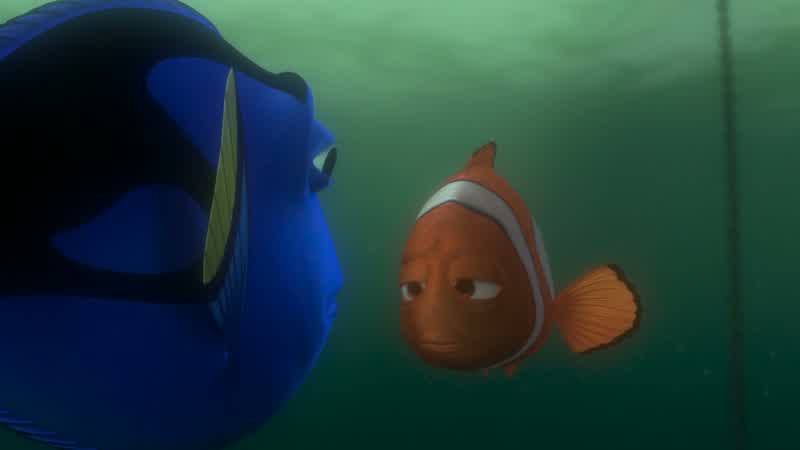 No No you can'tStopPlease don't go awayPleaseNo one's ever stuck with me for so long beforeAnd if you leave I justI remember things better with youI do Look P Sherman 4242I remember it I do It's
