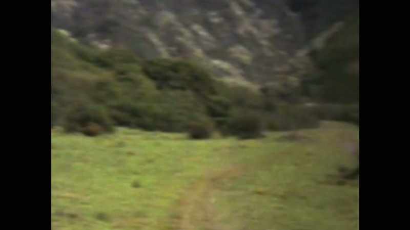 I remember skipping down a mountain in Hawaii