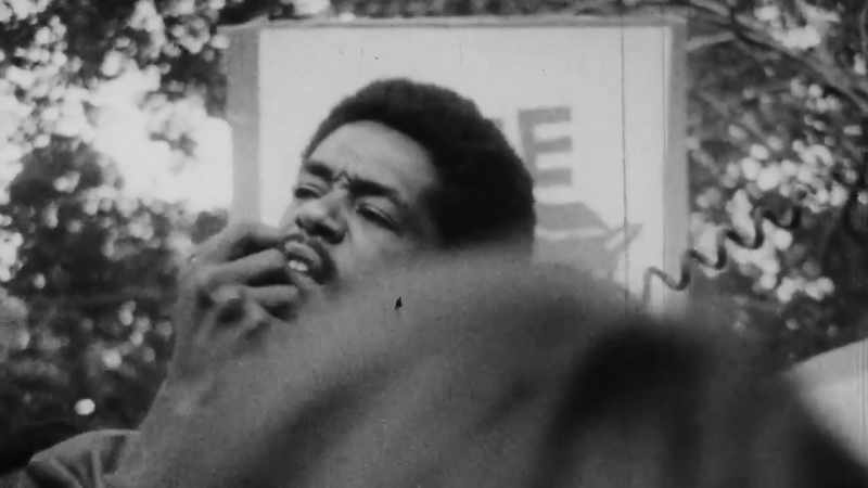 I respected the Black Panther Party