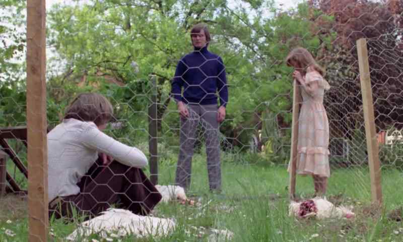 I was right. It was a fox that killed those rabbits