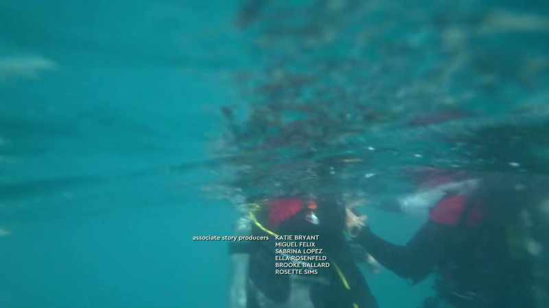 I’m so glad to see the Great Barrier Reef