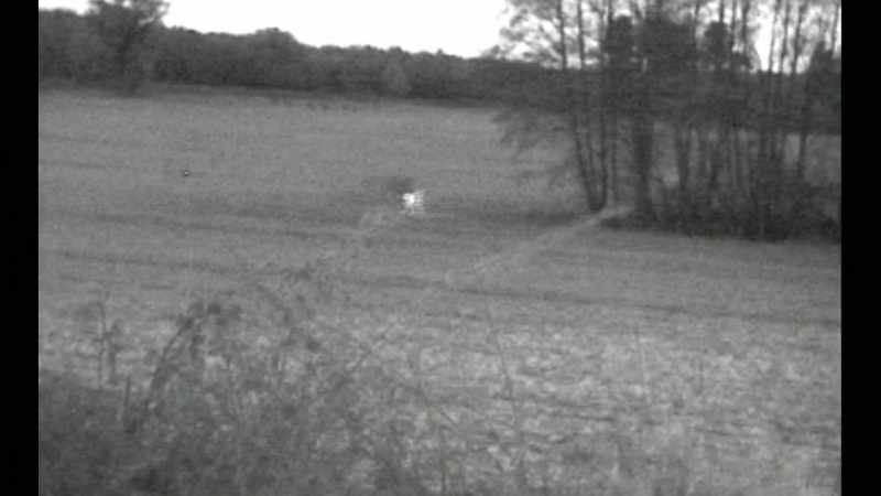 I was running an infrared video camera