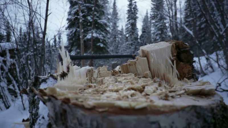 I saved my cabin, and also, I got pretty much all of