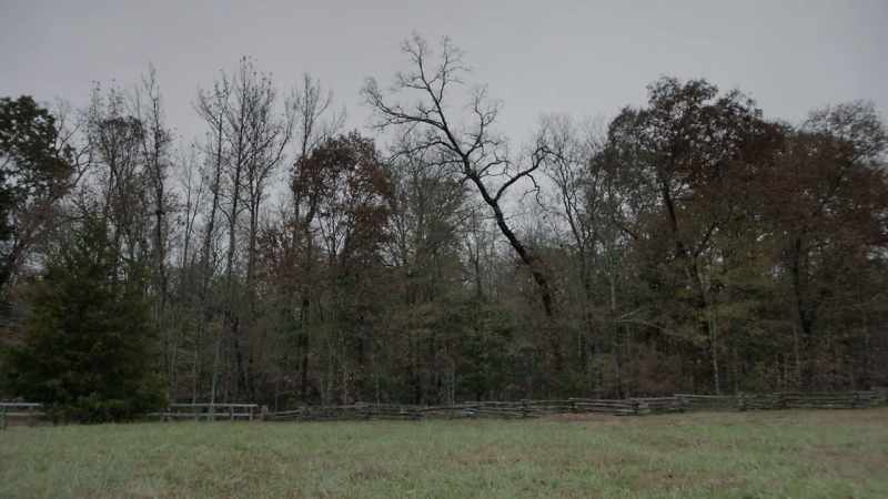 � I saw an open field on the second day