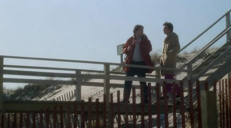 I saw her once last summer walking along the beach