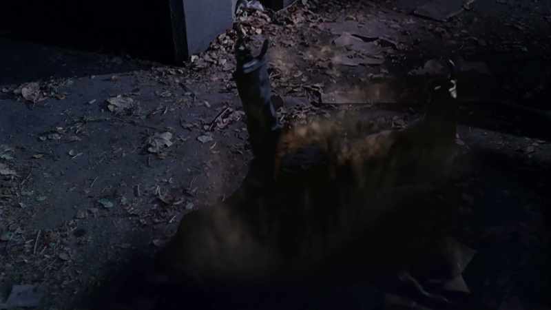 I saw Hunter shape-shift into Dr. Julia