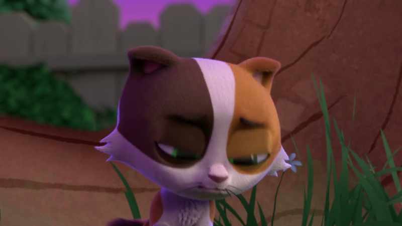 I saw you and Chiki napping on the hammock