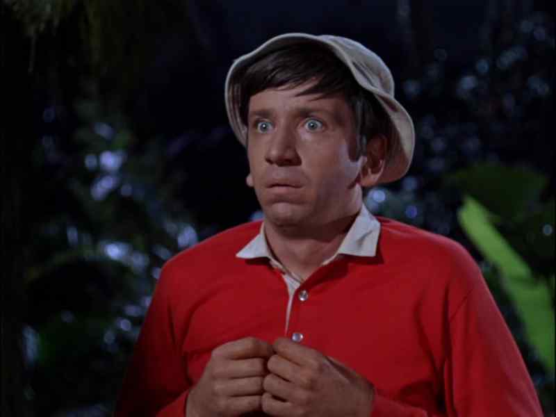 I SEE HIM! I SEE GILLIGAN!