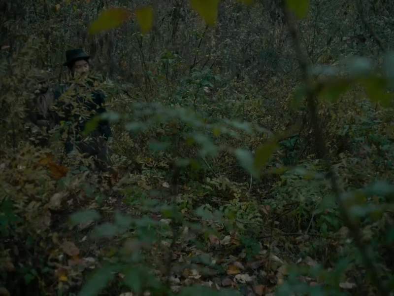 I see something in this land I haven't seen before