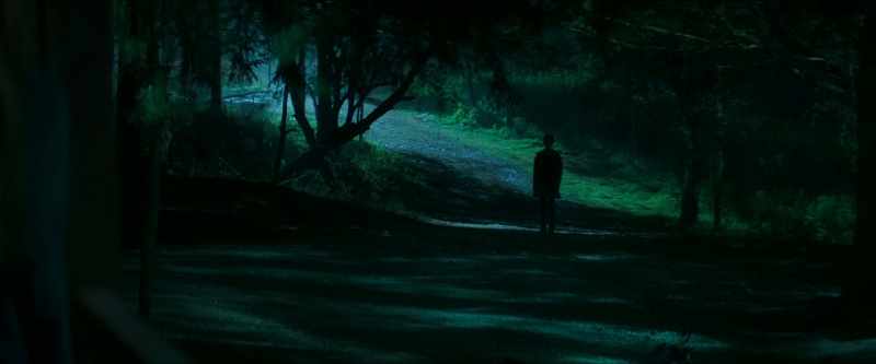 �� I see trees of green ♪