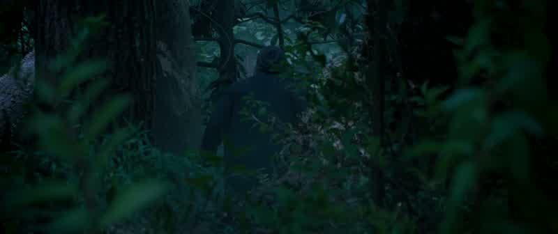 I see you