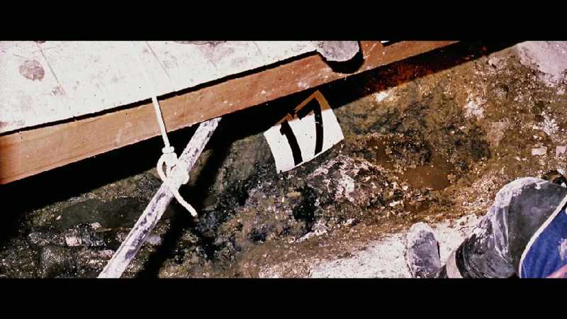 I had seen crime victims before, dead people
