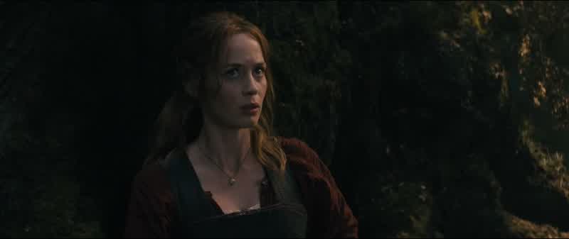 I shall not forget you
