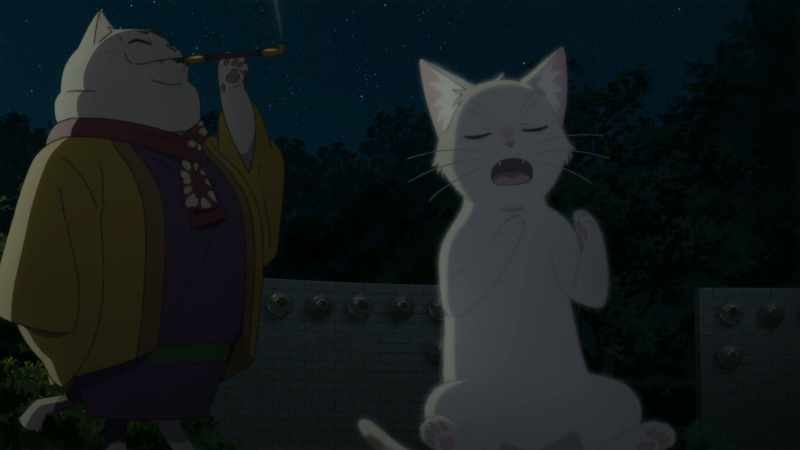 I should gather more information as Taro