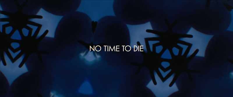 �� I should have known ♪