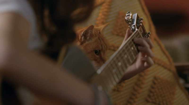 �� I should've stopped when I had the chance ♪