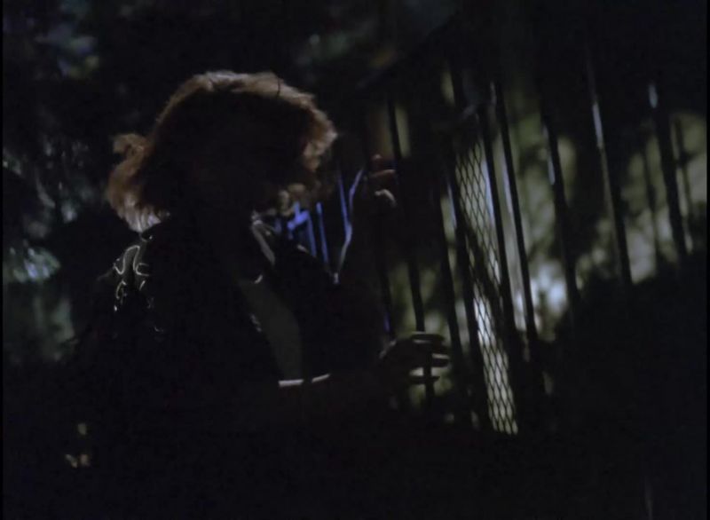 [ Shutter Slams ]
