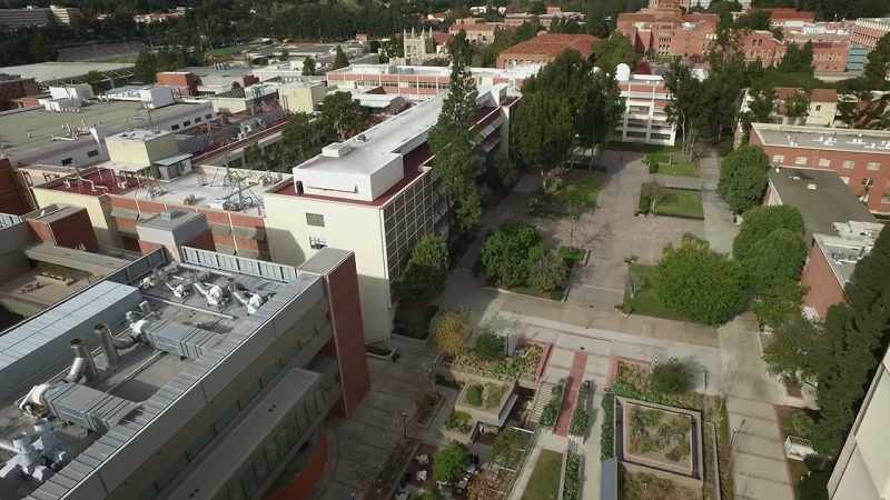 I was sitting in my office at UCLA one day