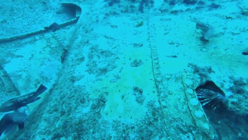 Sitting on the otherwise featureless sandy bottom