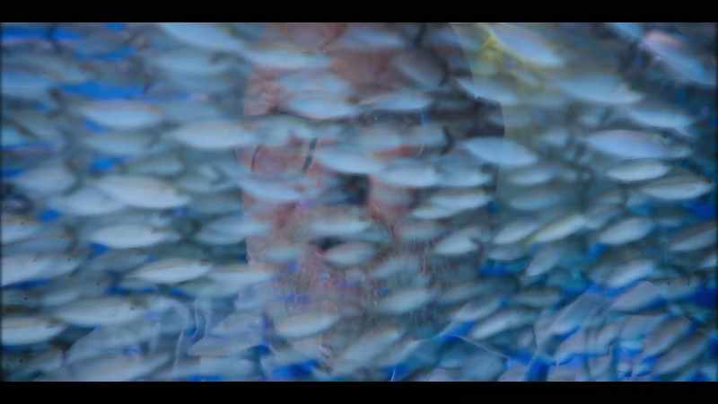 I started dissolving, or, like that drop into the ocean, just disappearing