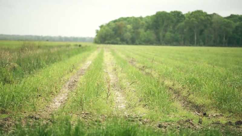 I started farming in this parish more than 50 years ago