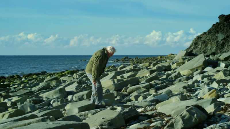 I started looking for fossils when I was a boy