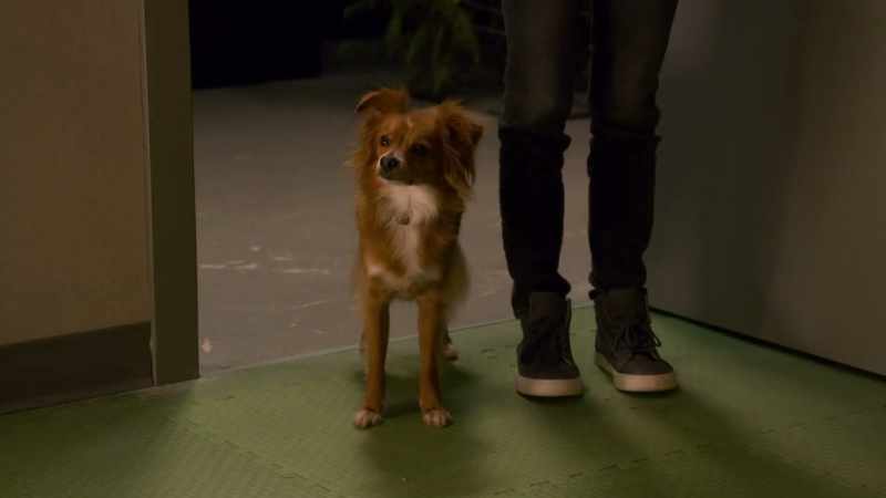 I still can't believe our Noah