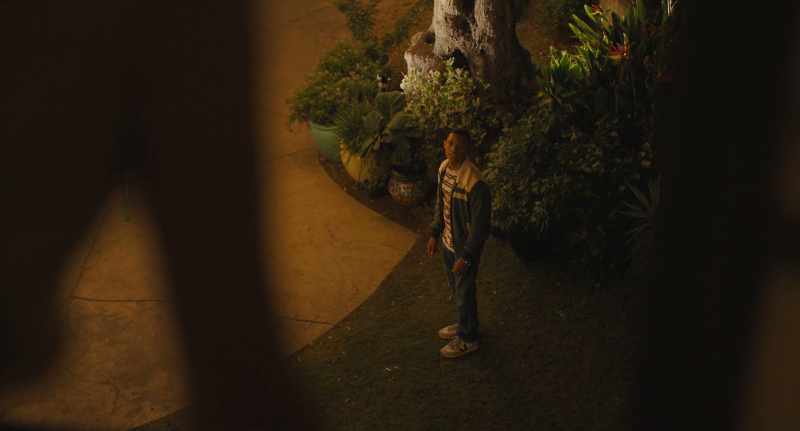 I still don't know why you were throwing rocks at my window