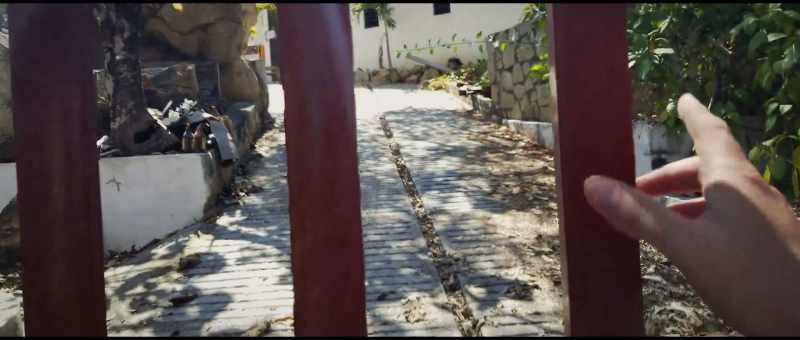 I stood right up here, about halfway up the driveway