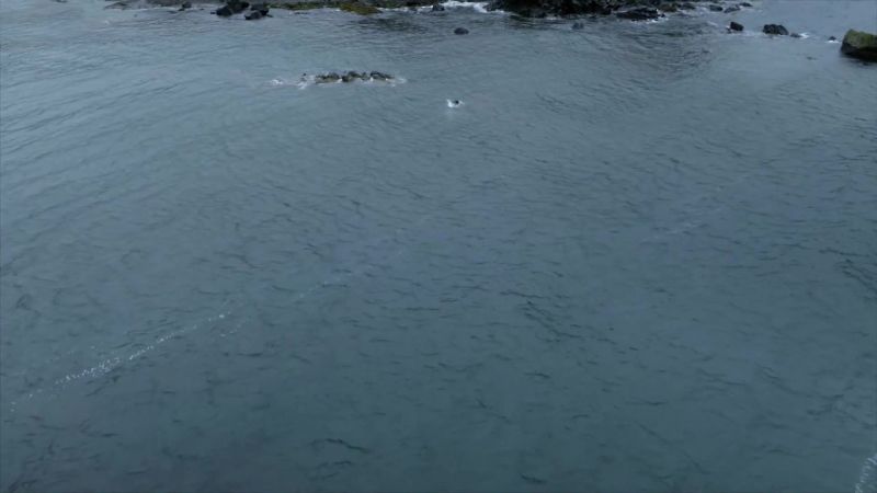 I swam to it