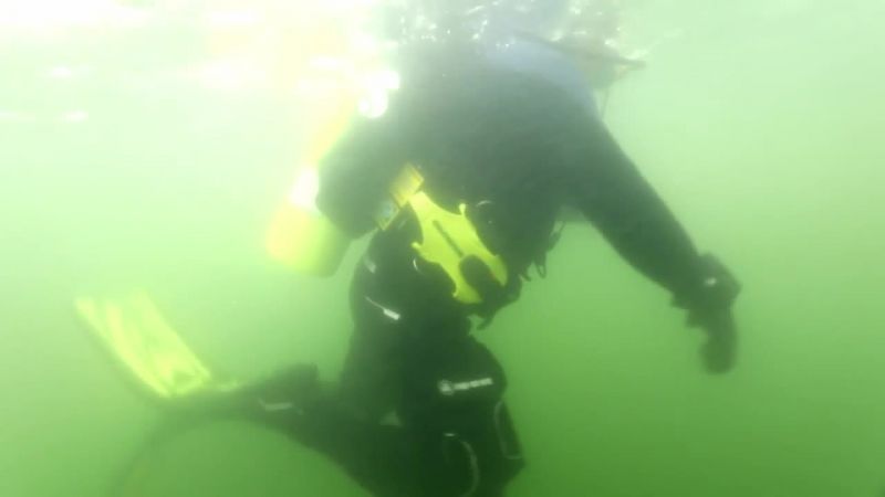 The algae makes it difficul to see as we descend toward our target