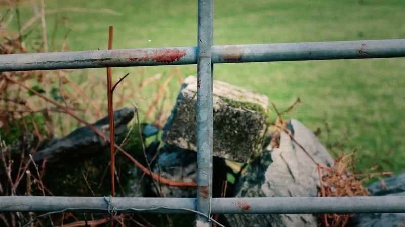 I had the gate removed as blood evidence