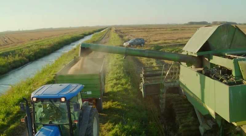 I think you can get satisfaction from growing a crop