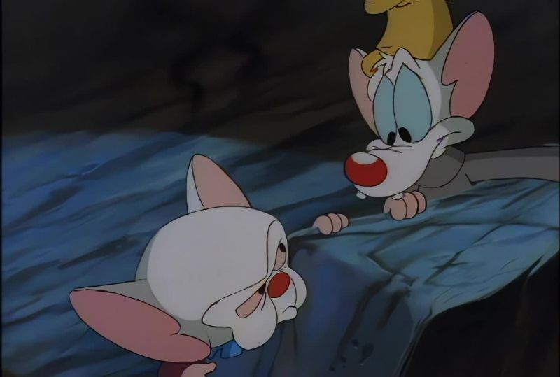 I think we found the red dragon, Brain. Poit