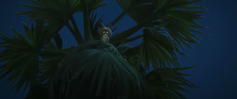 I think we got off to a bad startThe name's WolfYepI get that a lotFirst impressions and allNo no no noUh it's okay It's okayI'm not gonna hurt you I know you're scaredI would be too if I were youJust