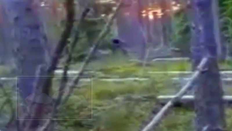 I think-- I think that's a Bigfoot