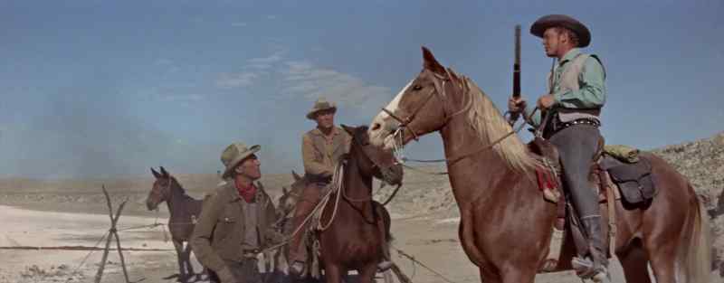 I think I'll try your new model gun on your mules