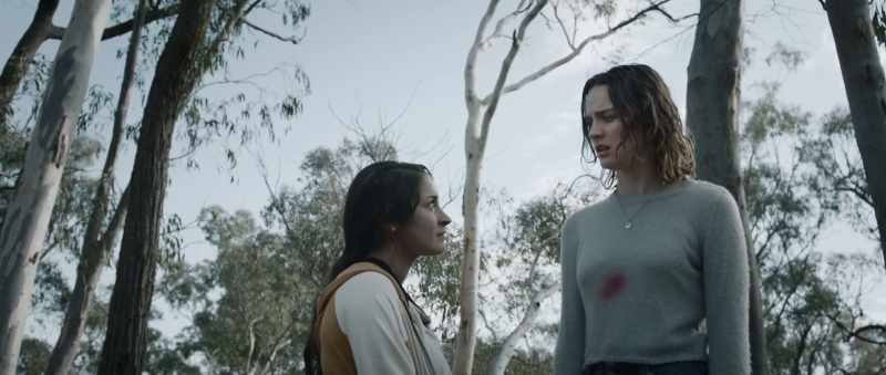 I think in this situation we are pigs