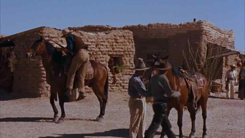 I think this is your horse