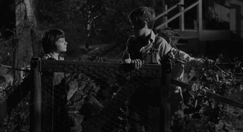 I think we ought to stay right here in Miss Stephanie's yard