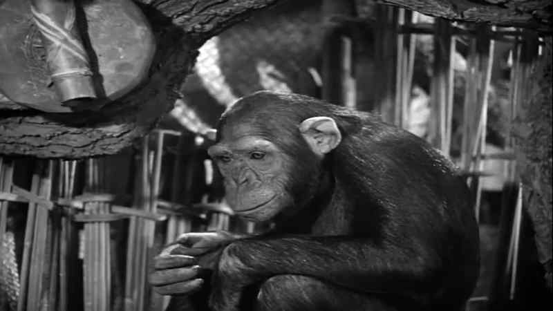 I think Tarzan would like some plums for breakfast
