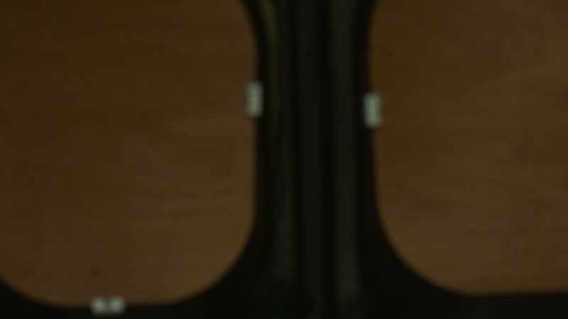 I think when Terrence Witham first got
