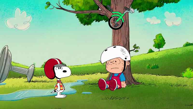 I think the problem is the tricycle