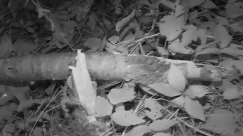 I think that these booby traps