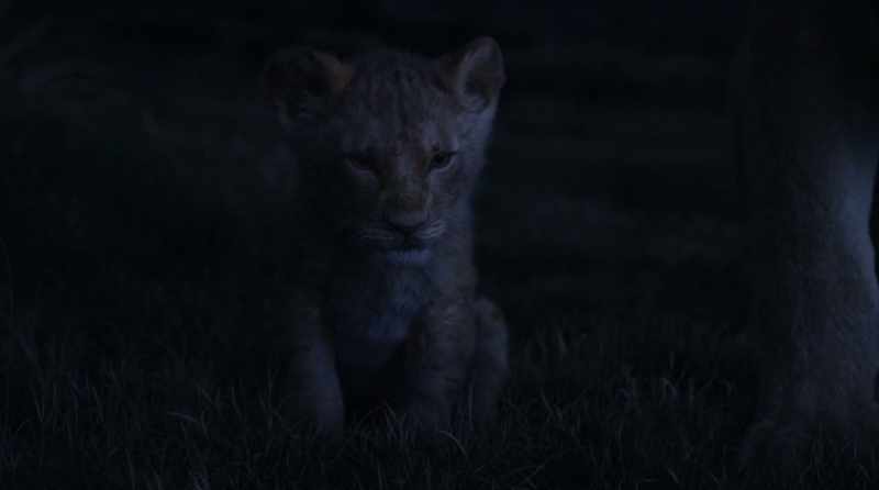 I think those hyenas were even scareder