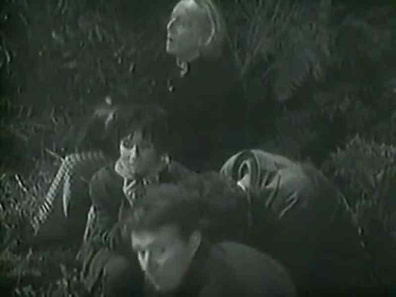 I think we'd better get going. Doctor, will you lead?