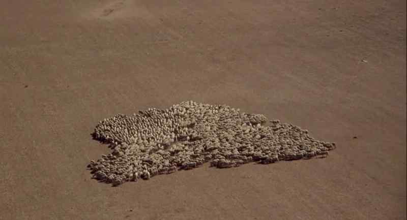 I think we're going to make it. - Look at those sheep down there